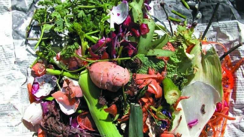 Abfall in Wermelskirchen: BAV prüft Qualität des Bioabfalls