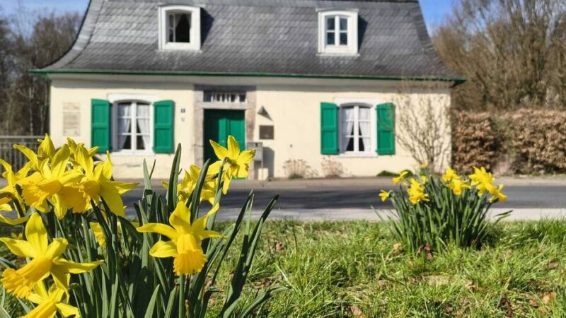Frühling in Mettmann: Eine Woche voller Sonnenschein