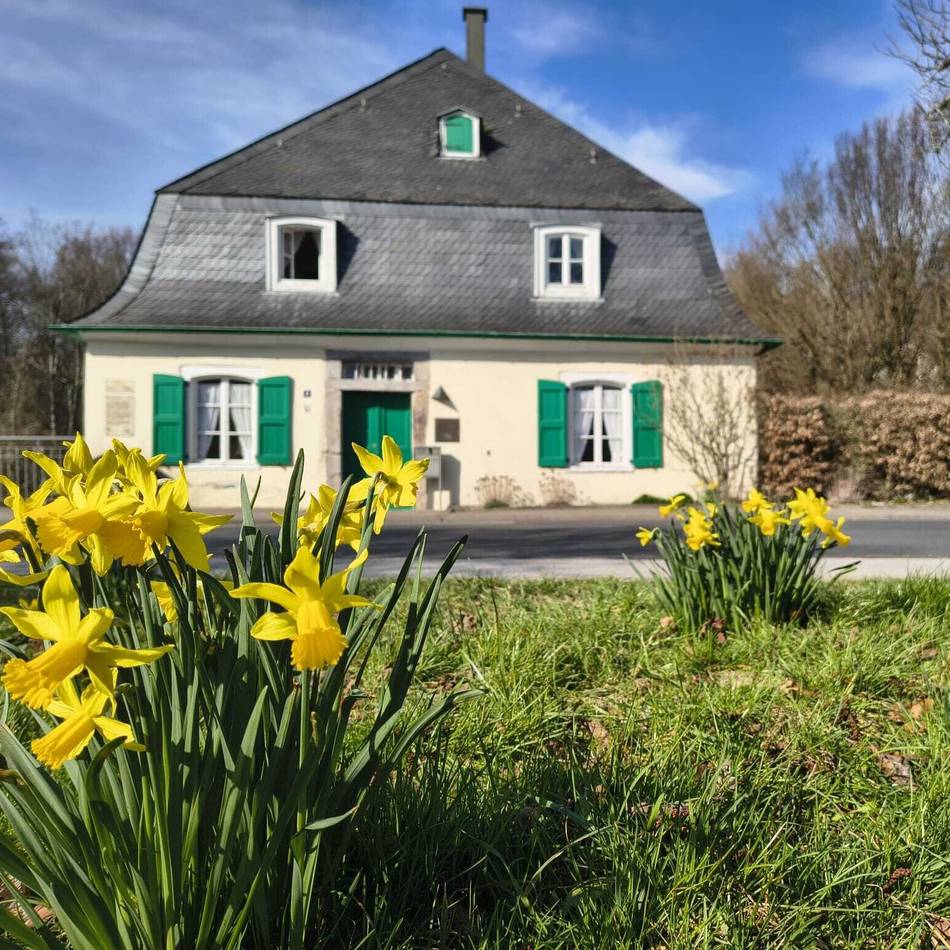 Frühling in Mettmann: Eine Woche voller Sonnenschein