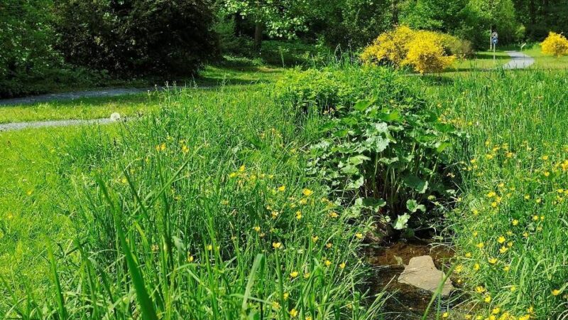 In Kaldenkirchen: Wassergarten bleibt geschlossen