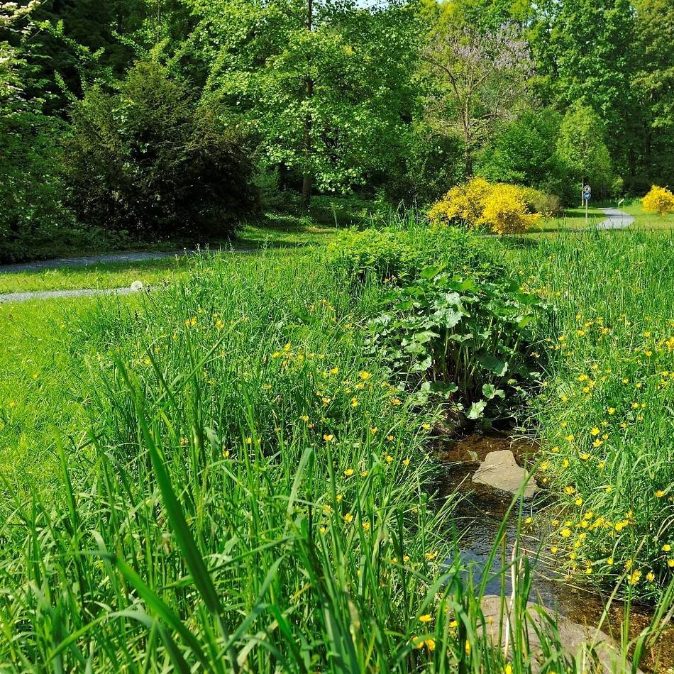 In Kaldenkirchen: Wassergarten bleibt geschlossen