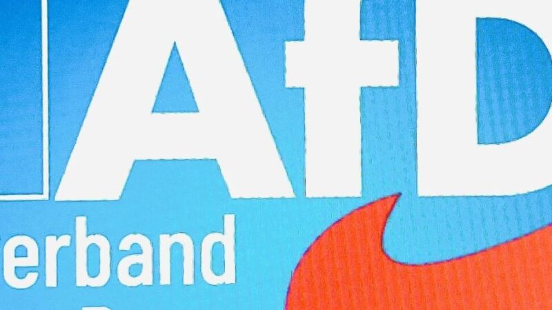 Abwesenheit und keine Haushaltsrede: AfD: Kopfschütteln und Kritik im Reeser Rat
