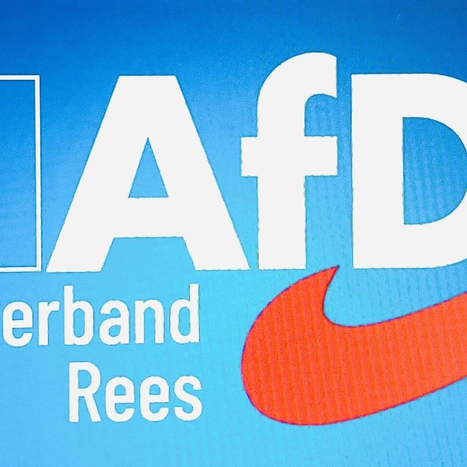 Abwesenheit und keine Haushaltsrede: AfD: Kopfschütteln und Kritik im Reeser Rat