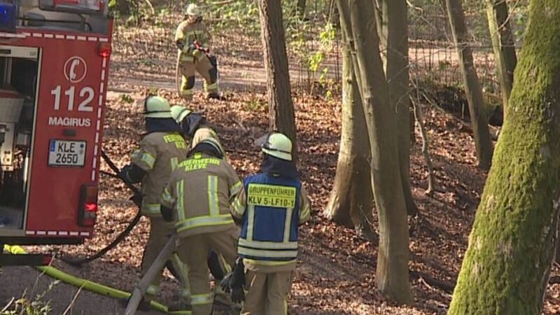 Feuerwehren im Kreis Kleve und den Niederlanden: Wie groß ist die Gefahr bei Waldbränden?