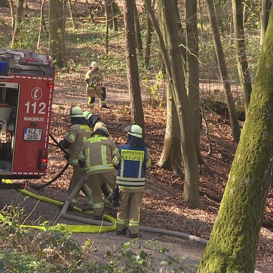 Feuerwehren im Kreis Kleve und den Niederlanden: Wie groß ist die Gefahr bei Waldbränden?
