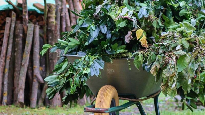 Grünschnittsammlung in Langenfeld: Stadt sammelt Grünabfälle aus dem Garten ein