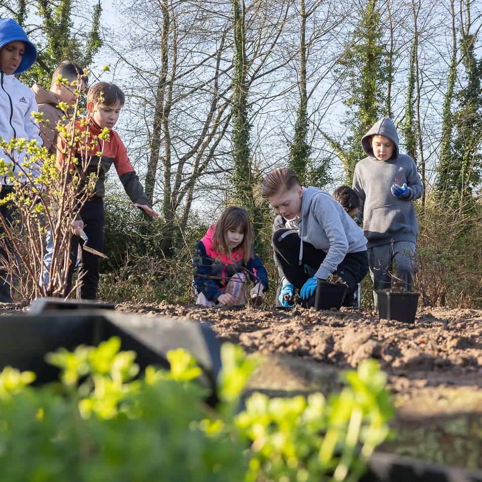 Essbarer Waldgarten in Mönchengladbach: Schüler übernehmen Patenschaft für „grünes Klassenzimmer“