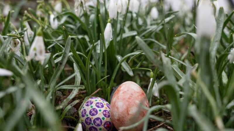 Oberbergischer Kreis: Osterferienprogramm im Freilichtmuseum