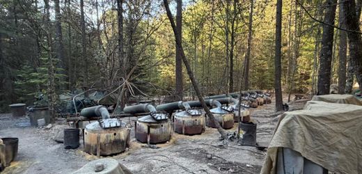 CIA in Mexiko: Verunglückte US-Agenten sollen ohne Erlaubnis gearbeitet haben