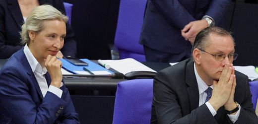 AfD-Umfragewerte steigen: Politbarometer sieht Partei erstmals vor der Union