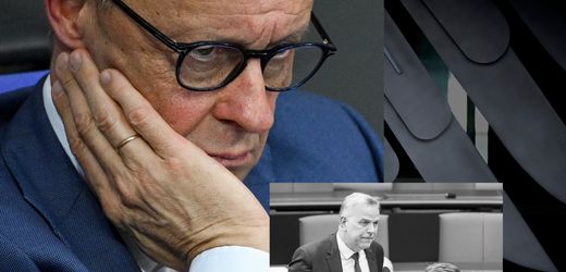 Bundestag: Die AfD stänkert, Friedrich Merz stichelt – Szenen einer Parlamentsdebatte