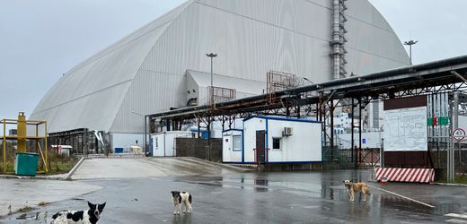 Tschernobyl 40 Jahre nach dem Unglück: »Die Sperrzone ist wie ein großes Labor«