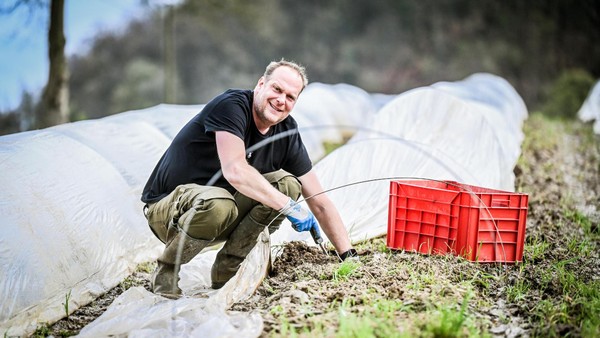 Auf Gut Kuhlendahl in Velbert gibt‘s täglich frischen Spargel