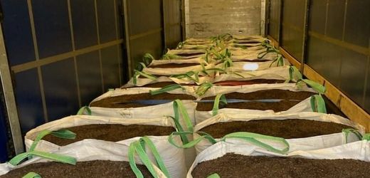 Frankreich: Zoll findet eine Tonne Kokain in Blumenerde-Lkw