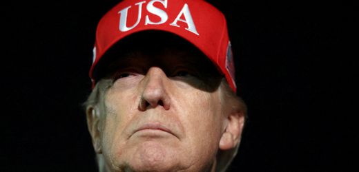 Donald Trump lästert über Papst Leo XIV.: »Wenn ich nicht im Weißen Haus wäre, wäre Leo nicht im Vatikan«