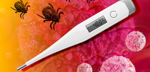 Zecken und FSME: Wie ein Mann nach verpasster Impfung wieder laufen lernen muss