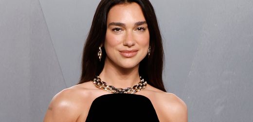 Dua Lipa finanziert mit »Service95« ukrainisches Frontfahrzeug