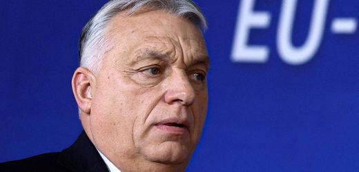 Ungarn vor der Wahl: Europarat krisitiert »vergiftetes Klima« im Land