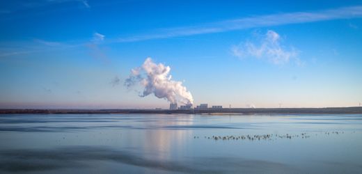 Umweltvorbild Ostdeutschland: Wo blühende Landschaften Realität sind – Kolumne