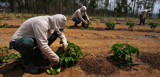 Auswirkungen von Super-El-Niño auf Deutschland: Einschätzungen des Klimaforschers Andreas Fink