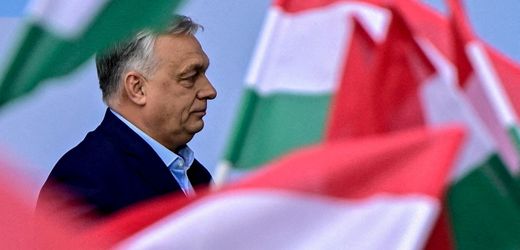Ungarn: Donald Trump mischt sich in Wahlkampf ein – »Wählt Orbán«