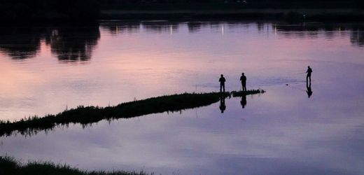 Hamburg: Bewährungsstrafen wegen Korruption bei Fischerei-Scheinen