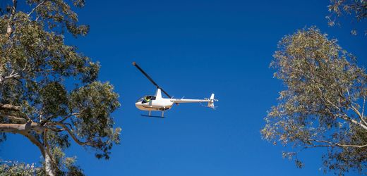 Australien: Vermisste Fünfjährige Sharon Granites ist offenbar tot