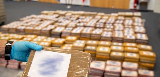 Hamburg: 1,6 Tonnen Kokain im Hafen abgefangen – versteckt in Bananencontainer