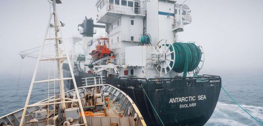 Antarktis: Tierschützer rammen Krebsfangschiff