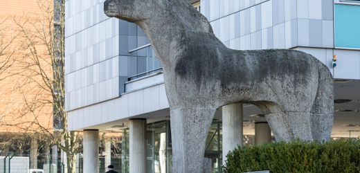 Statistischen Bundesamt in Wiesbaden: Mann greift Kollegin mit Messer an