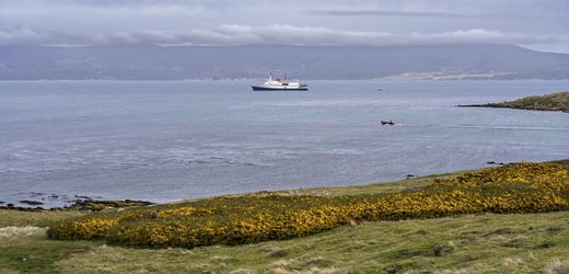 Donald Trump: Die Regierung überdenkt ihre Haltung zu den Falklandinseln – warum?