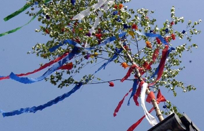 Tradition im Kreis Viersen: So gibt es den Maibaum auf legalem Weg