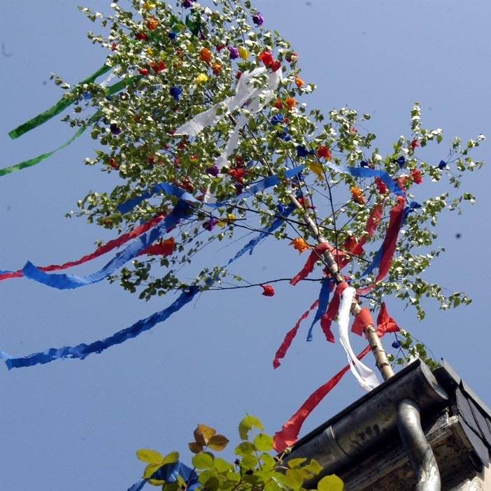 Tradition im Kreis Viersen: So gibt es den Maibaum auf legalem Weg