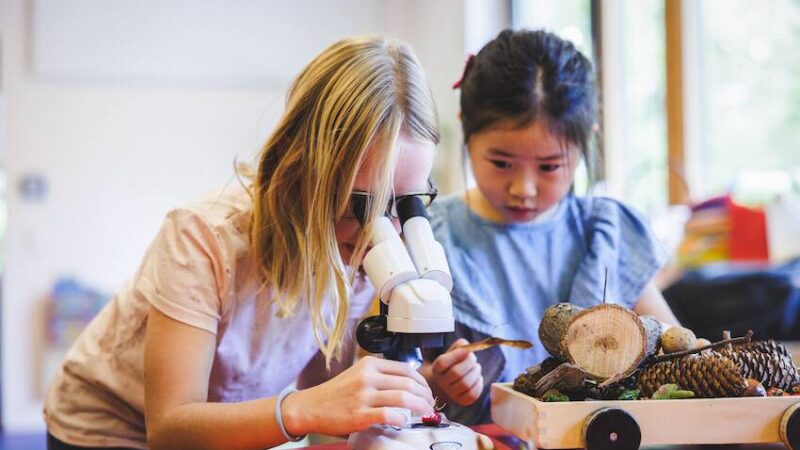 Netzwerk der Klever Hochschule: Gocher Kita erhält erneut Auszeichnung für frühe Forschungsarbeit