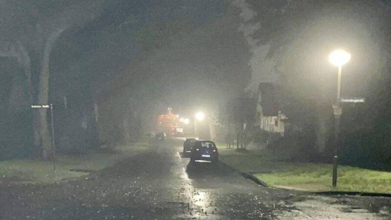 Beleuchtung ein Problem: Stadt beseitigt Angstraum an der Lindenallee in Kleve