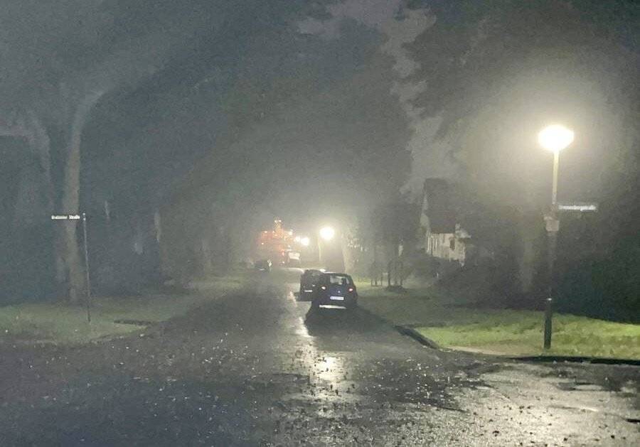 Beleuchtung ein Problem: Stadt beseitigt Angstraum an der Lindenallee in Kleve