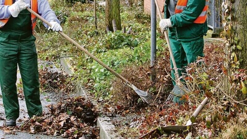 Neusser SPD will Jobs für Migranten durchsetzen: „Es muss möglich sein, 20 Asylbewerbern Arbeit anzubieten“