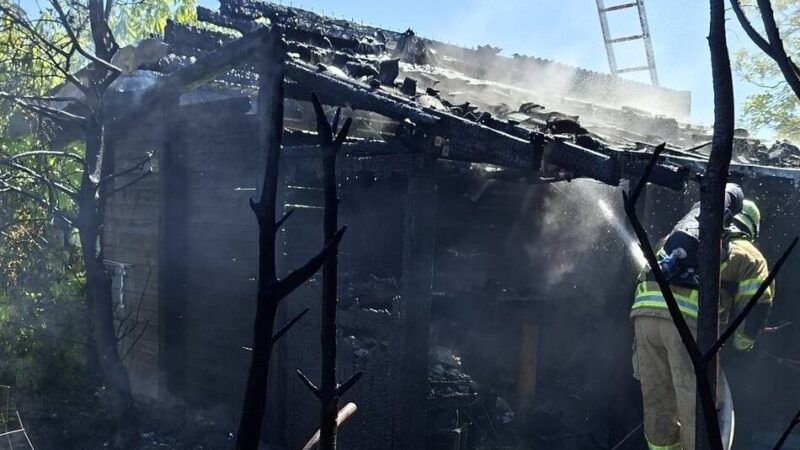 Einsatz der Feuerwehr in Kleve: Gartenlauben, Hecken und Strommast gehen in Flammen auf