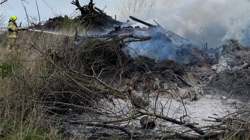 Reeser Feuerwehr sauer: Unterschlupf für Wildtiere angezündet