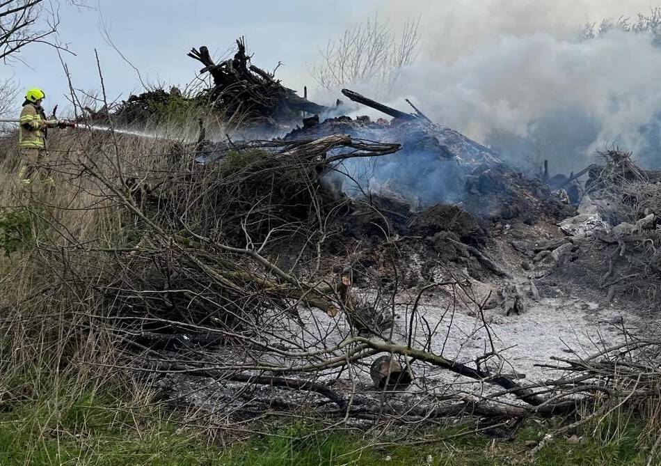 Reeser Feuerwehr sauer: Unterschlupf für Wildtiere angezündet