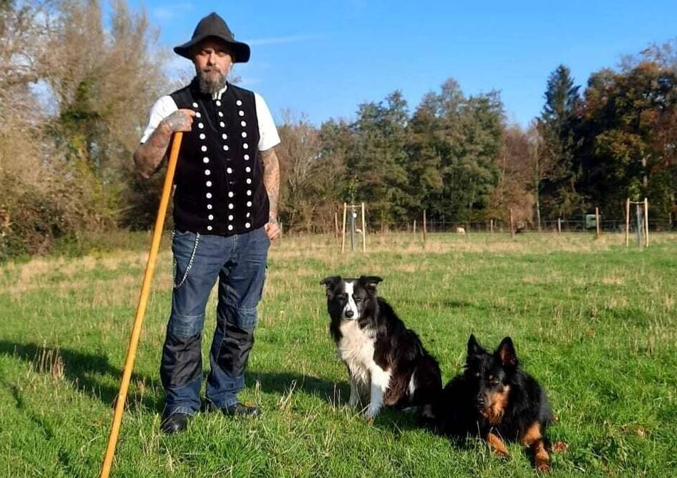 Wie Hütehunde komplexe Aufgaben im Schafalltag lernen: Die tierischen Helfer des Schäfers