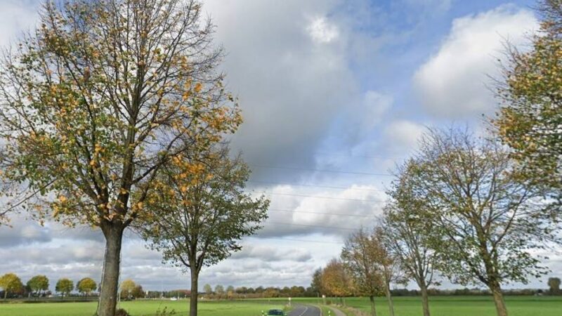 Stadtentwicklung in Krefeld: Allee in Hüls soll wieder geschlossen werden