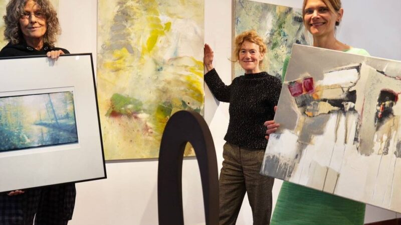 Neue Ausstellung in Leverkusen: „Gezeiten“ am Hitdorfer Rheinufer