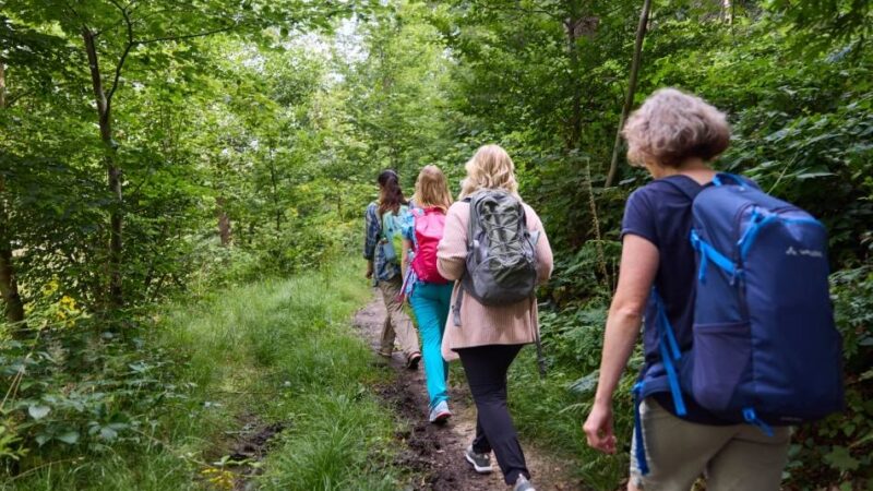Wanderwoche in Heiligenhaus: Grünzüge erkunden – zu beinahe jeder Tageszeit