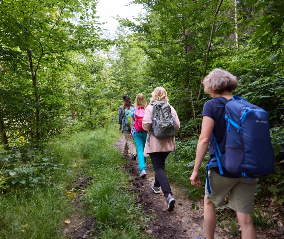 Wanderwoche in Heiligenhaus: Grünzüge erkunden – zu beinahe jeder Tageszeit