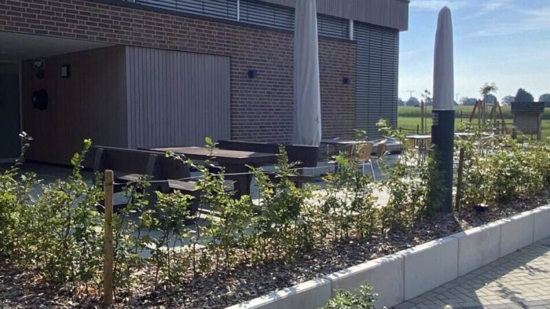 Frühlingsfest in Uedemerbruch: Dorfgemeinschaftshaus öffnet Türen zum Frühlingserwachen