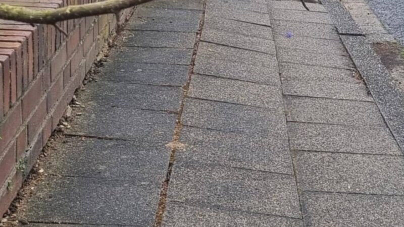 Schmale Straße in Bedburdyck: Äste-Blockade gegen die Müllabfuhr