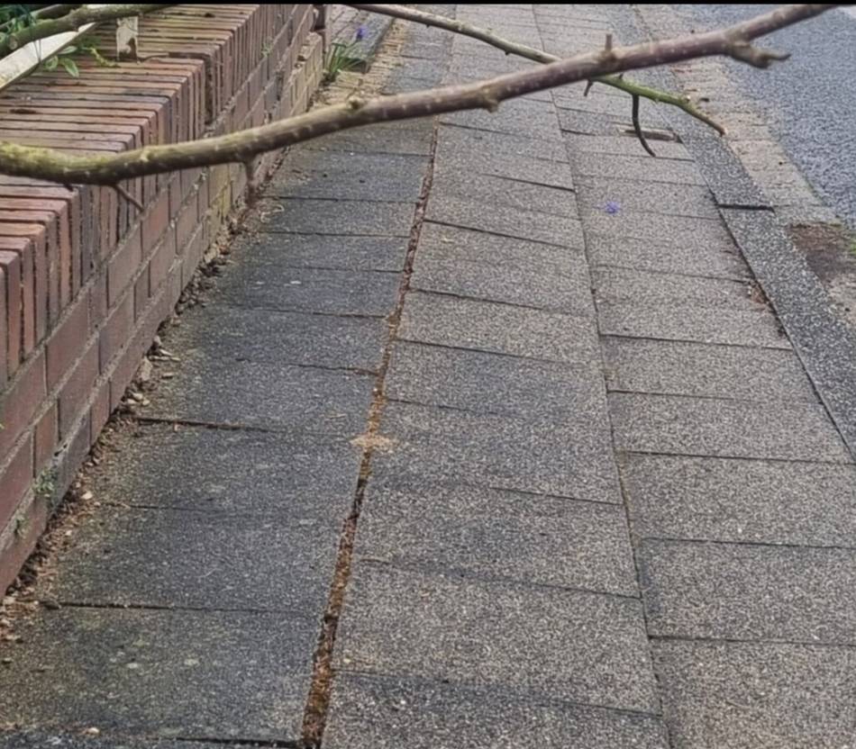 Schmale Straße in Bedburdyck: Äste-Blockade gegen die Müllabfuhr