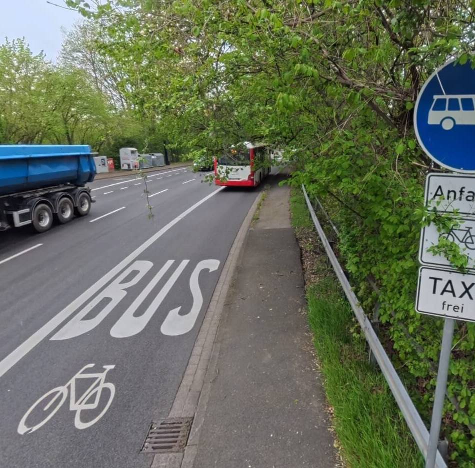Verkehrsdiskussion in Leverkusen: Muss sich die Wupsi bald alle Busspuren mit Taxis teilen?