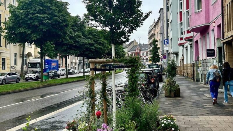 Umwelt in Düsseldorf : Schöne Baumscheiben in Flingern und Düsseltal gesucht